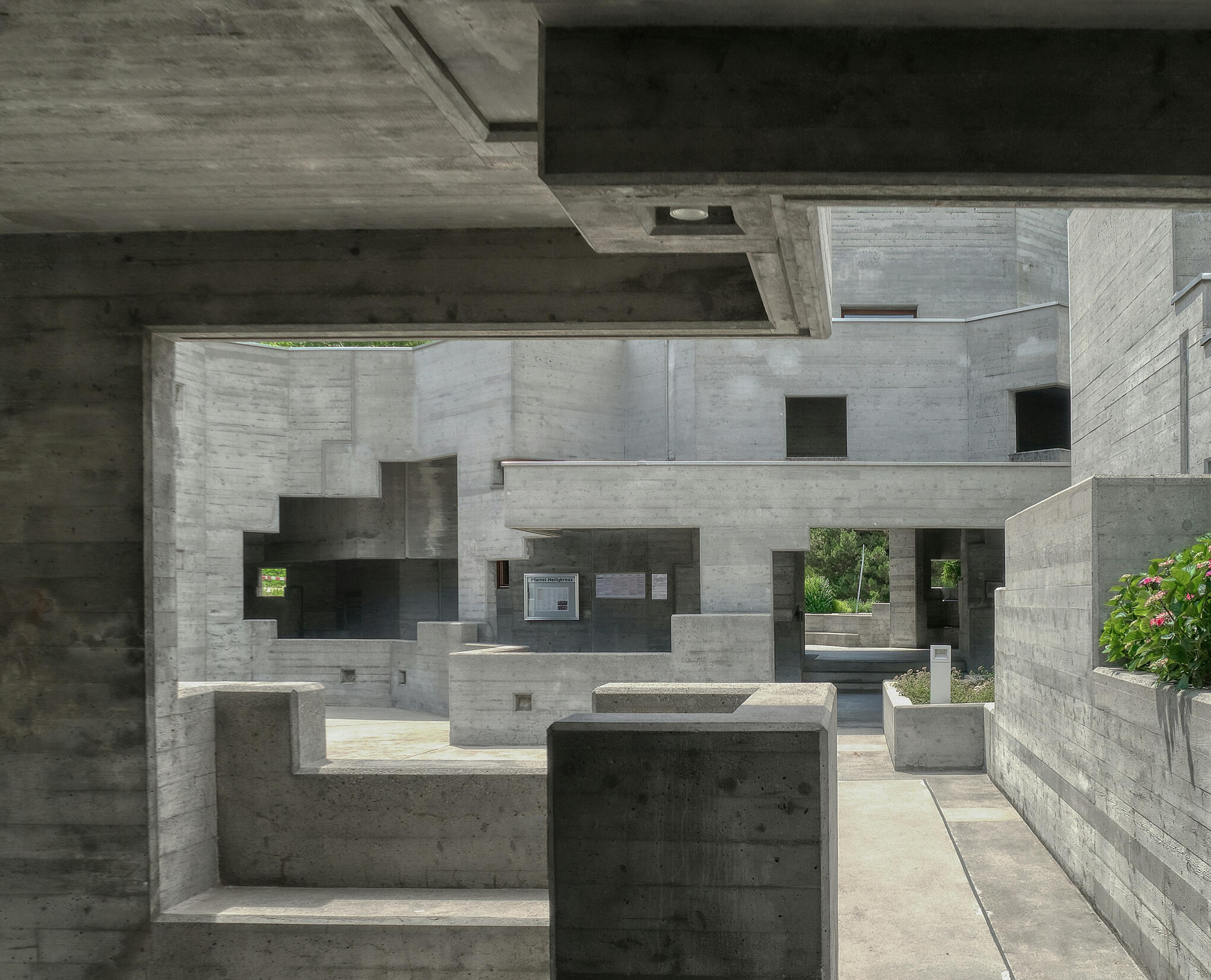 Stone The Program Elite